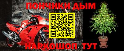 сатива Заводоуковск