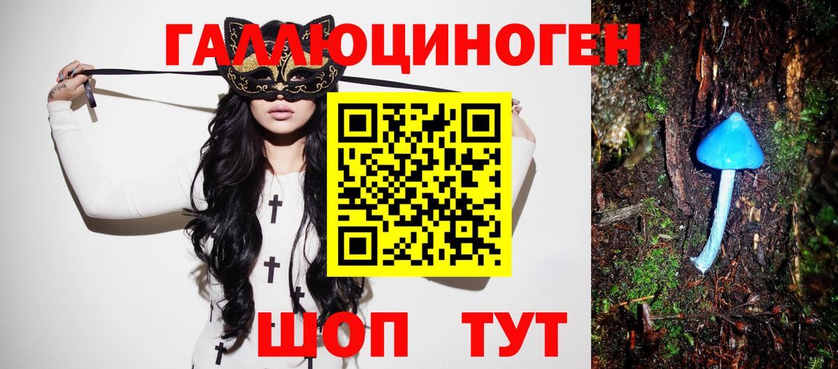 Мариинск  Галлюциногенные грибы Psilocybine cubensis  Псилоцибиновые грибы мухоморы  Вход с VPN 