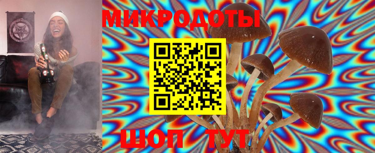 Галлюциногенные грибы Psilocybe Мариинск